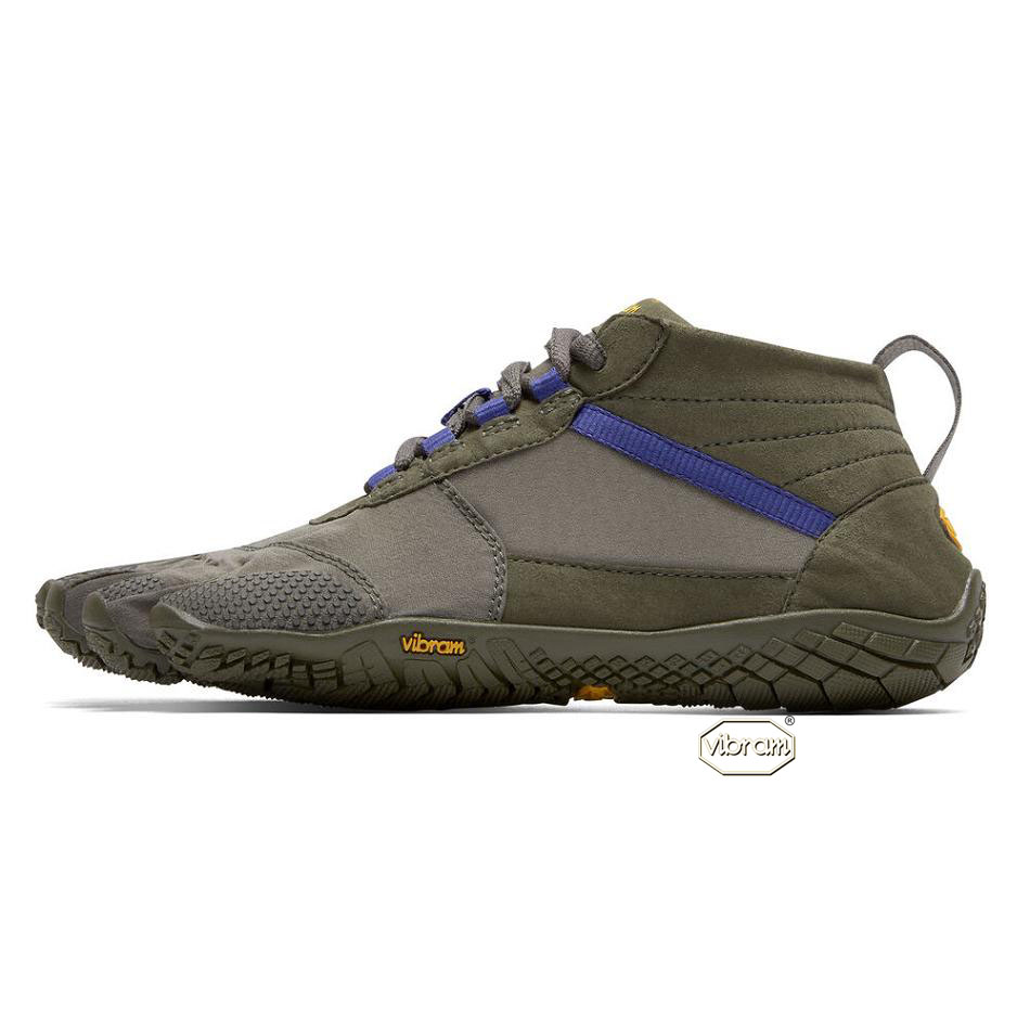 Vibram V-Trek Women's Casual Shoes Purple | NZ_Z39