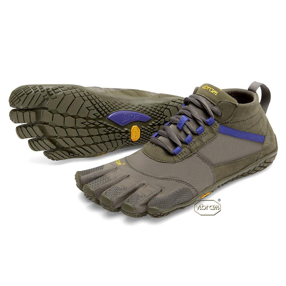 Vibram V-Trek Women\'s Casual Shoes Purple | NZ_Z39