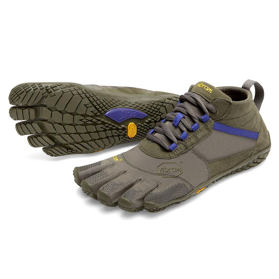 Vibram V-Trek Women\'s Hiking Shoes Purple | NZ_J57